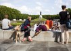 treptower park. sowjetisches ehrendenkmal. stern