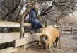 tilman mit wollschwein rosa. gap-year. die zeit studienfuehrer